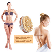 Vegan Boar Bristle Brush | Round Bath Body Brush | Eco Palz Bath & Beauty Tan Aphrodite 