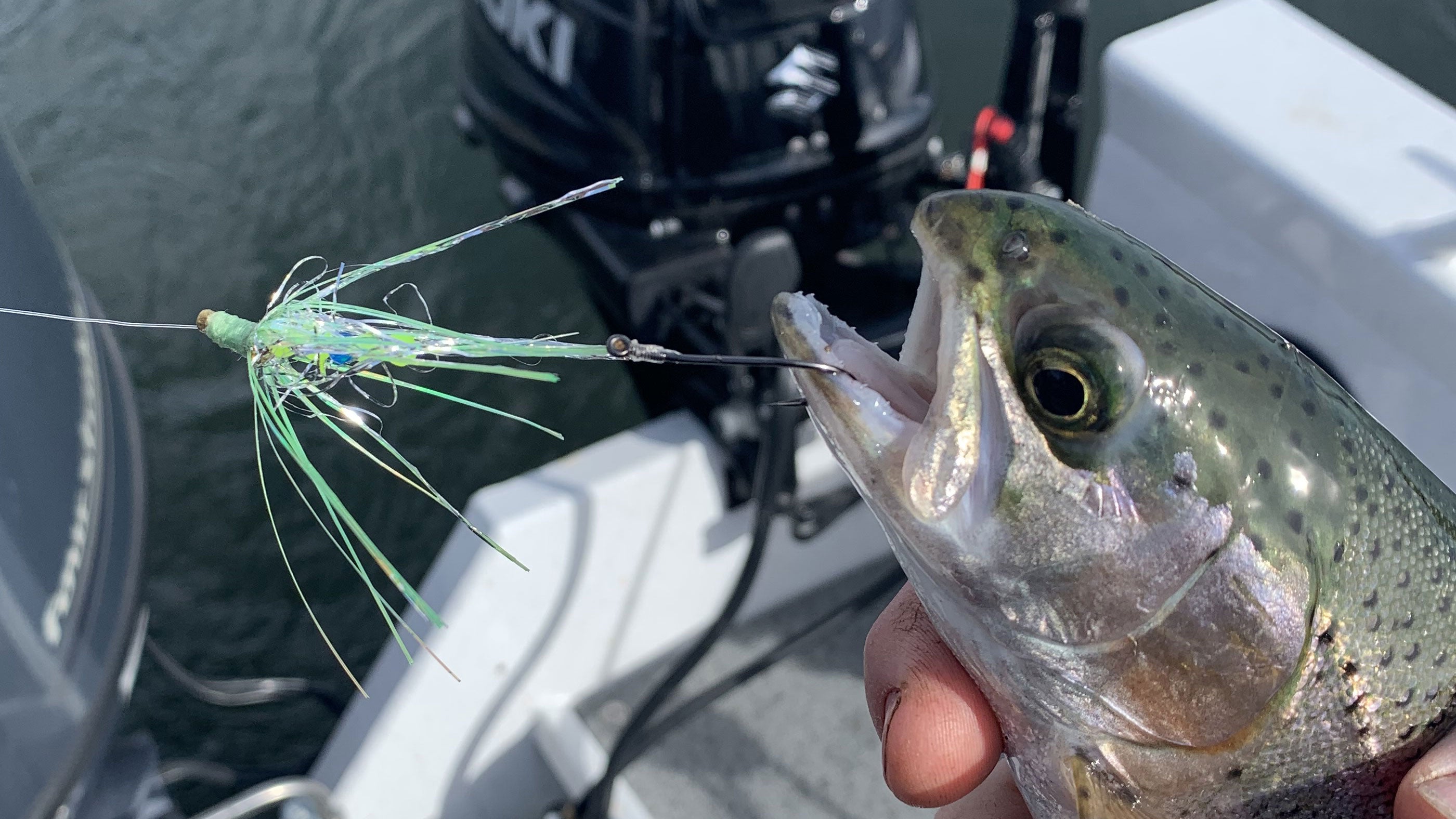 Troll Spinners For Trout & Kokanee! 