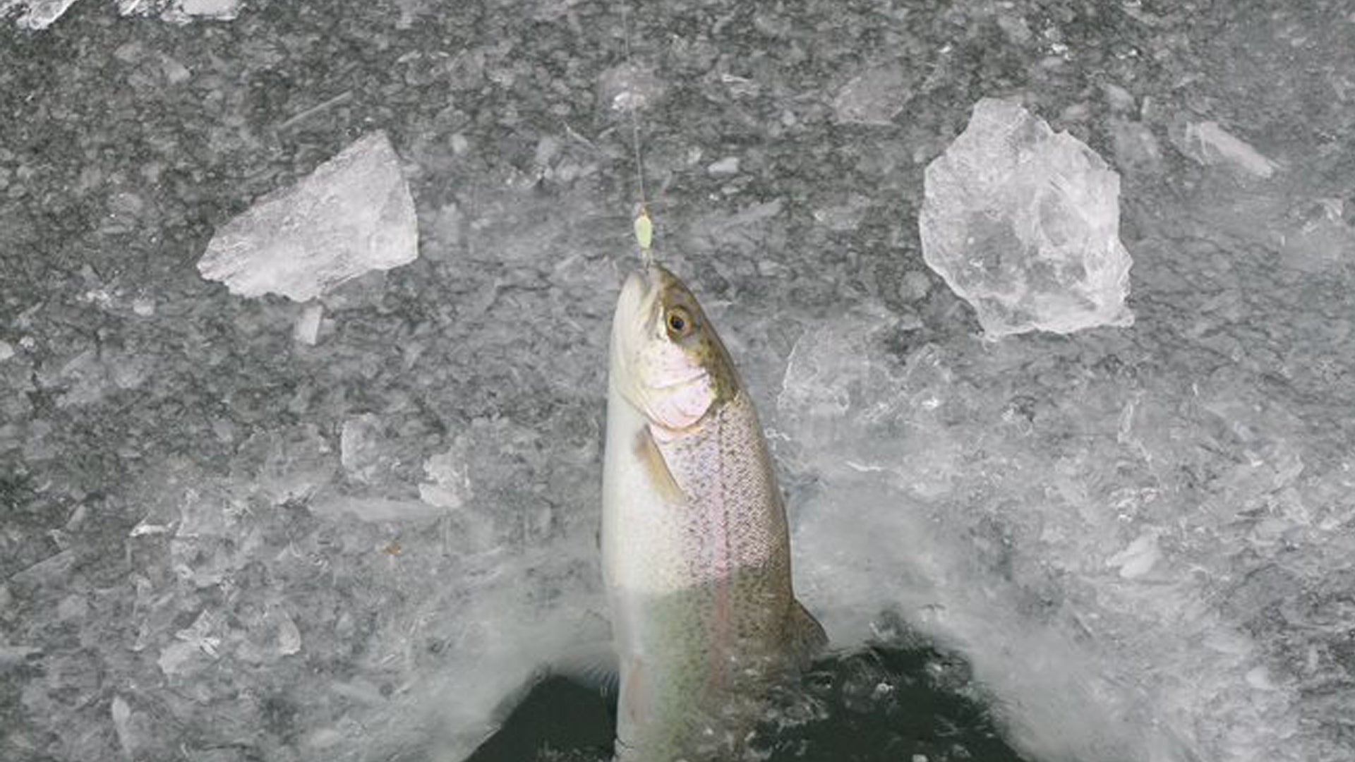 Brooks: Best Practices for Ice Fishing for Trout -  — Mack's Lure  Tackle