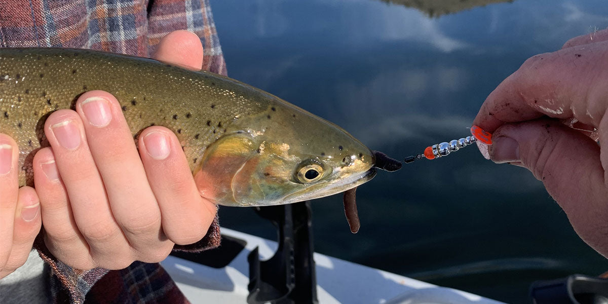 Pro Tips: Targeting Rainbow Trout in Topaz Lake