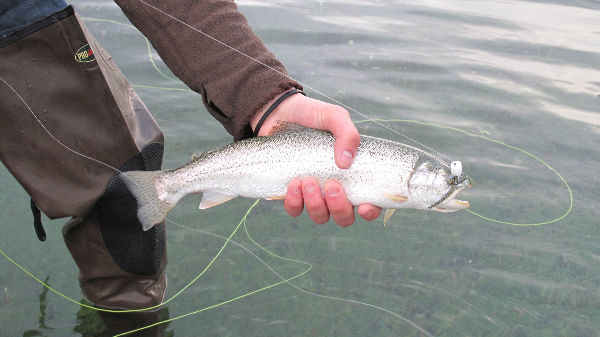 Brooks: Targeting Sea-Run Cutthroat Trout in Puget Sound