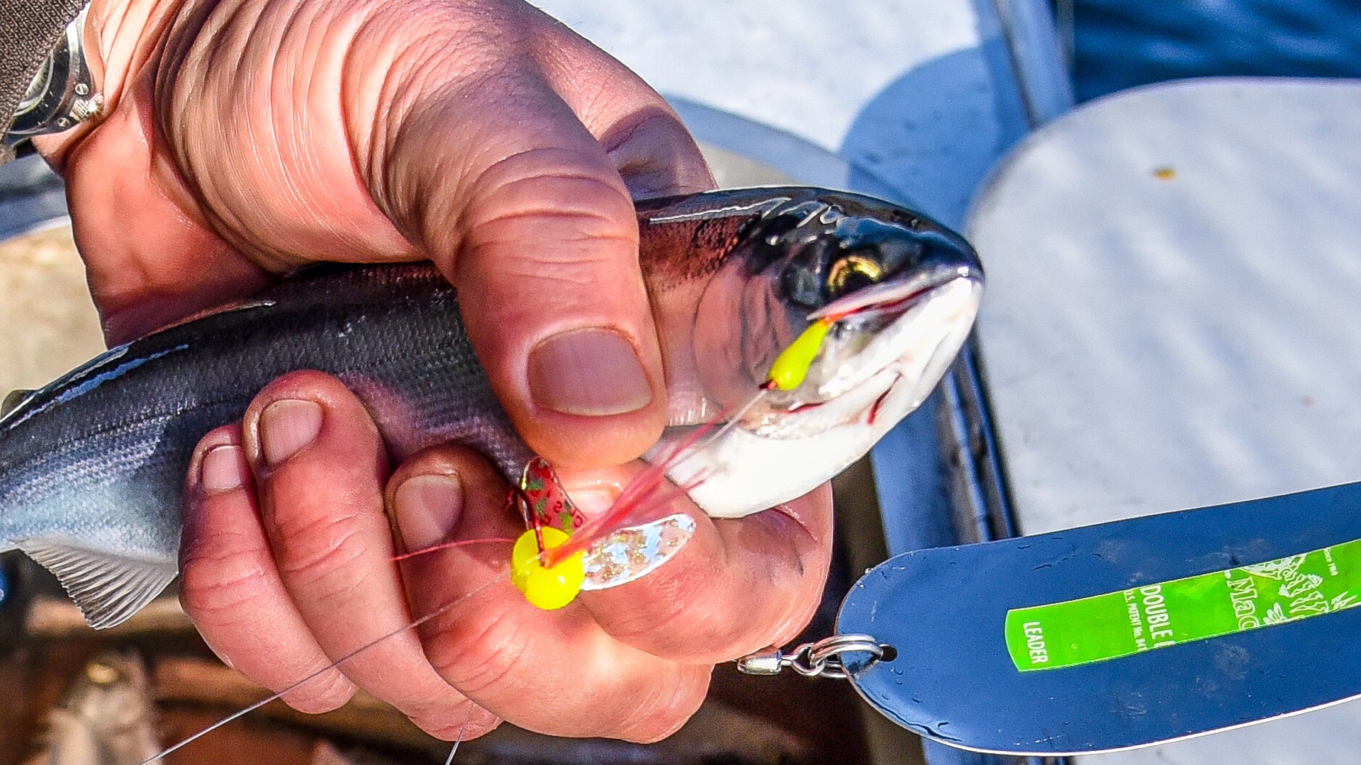 Brooks: Winter Kokanee Fishing on Lake Chelan
