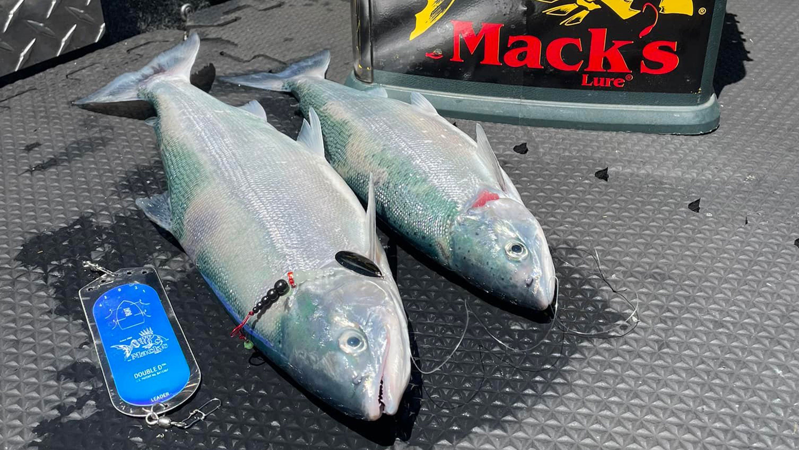 Trolling for Trout, Kokanee and Salmon in California Lakes — Mack's Lure  Tackle