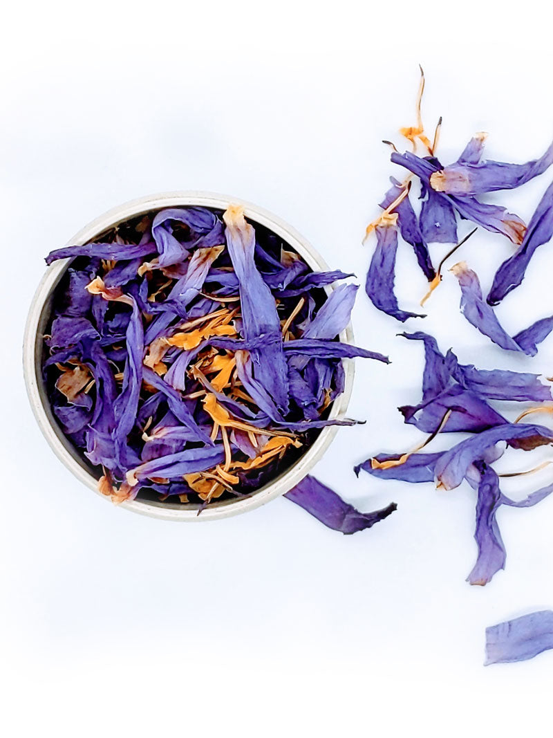 Dried Blue Lotus Flower | Tea Soul