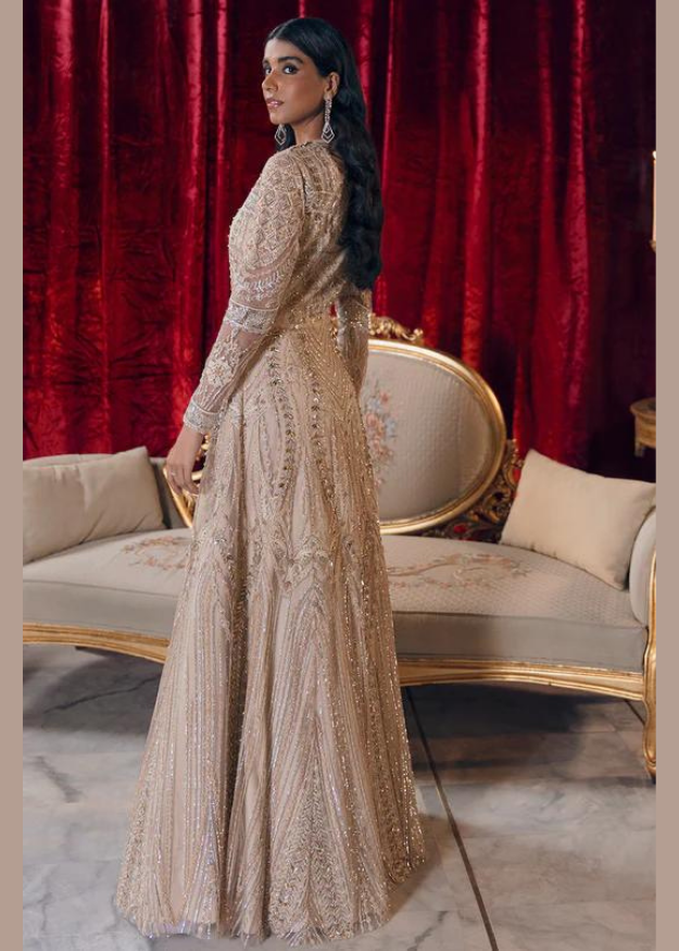 Reign Embroidered Ready to wear Net 3 Piece Suit ADARA