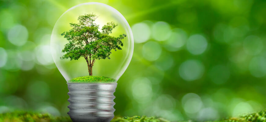 Image of a light bulb with a tree inside implying green energy.