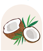 Coconut Oil