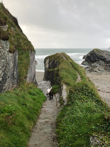 Lansallos Beach, Looe