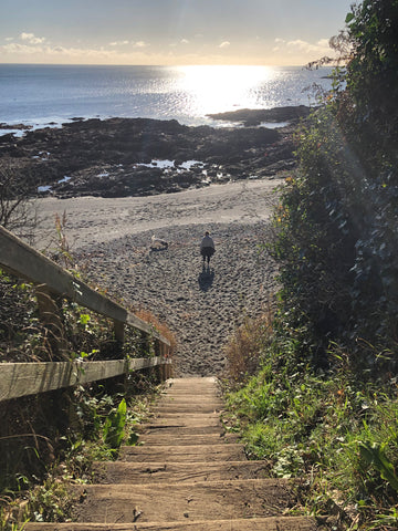 Steps down to Port Nadler beach in Hannafore, Looe