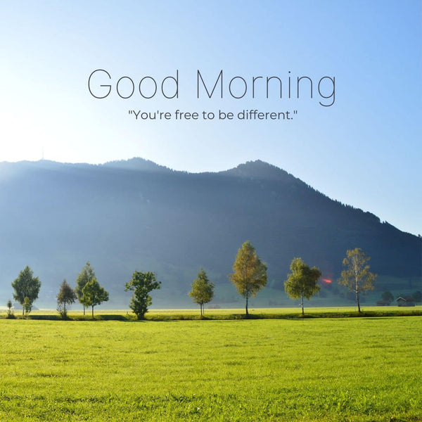 49+] Beautiful Good Morning Wallpaper - WallpaperSafari