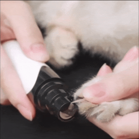 Coupe-ongles électrique pour chien - EASYGRIND™ –
