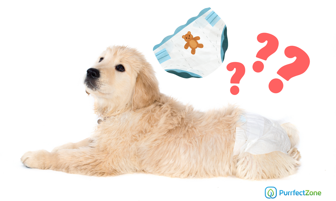 are dog diapers bad