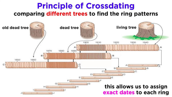 An explanation of dendrochronology