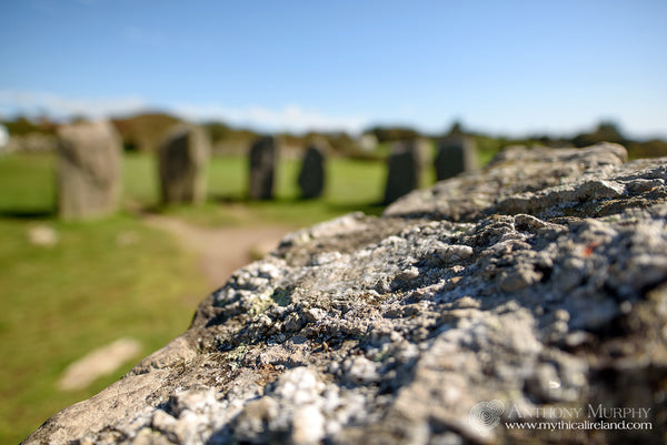 Close-up of one of the Drombeg stones