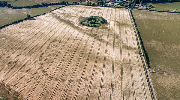 Dronehenge monument