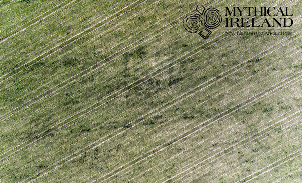 Dronehenge cropmarks at Newgrange Farm