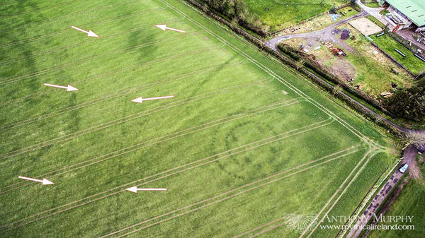 Great Palisade post holes in crop marks at Brú na Bóinne