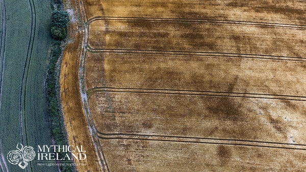 Vertical aerial image of crop marks of possible henge near Fourknocks