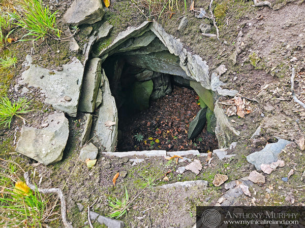 Passage-tomb J at Dowth Hall with its capstone removed