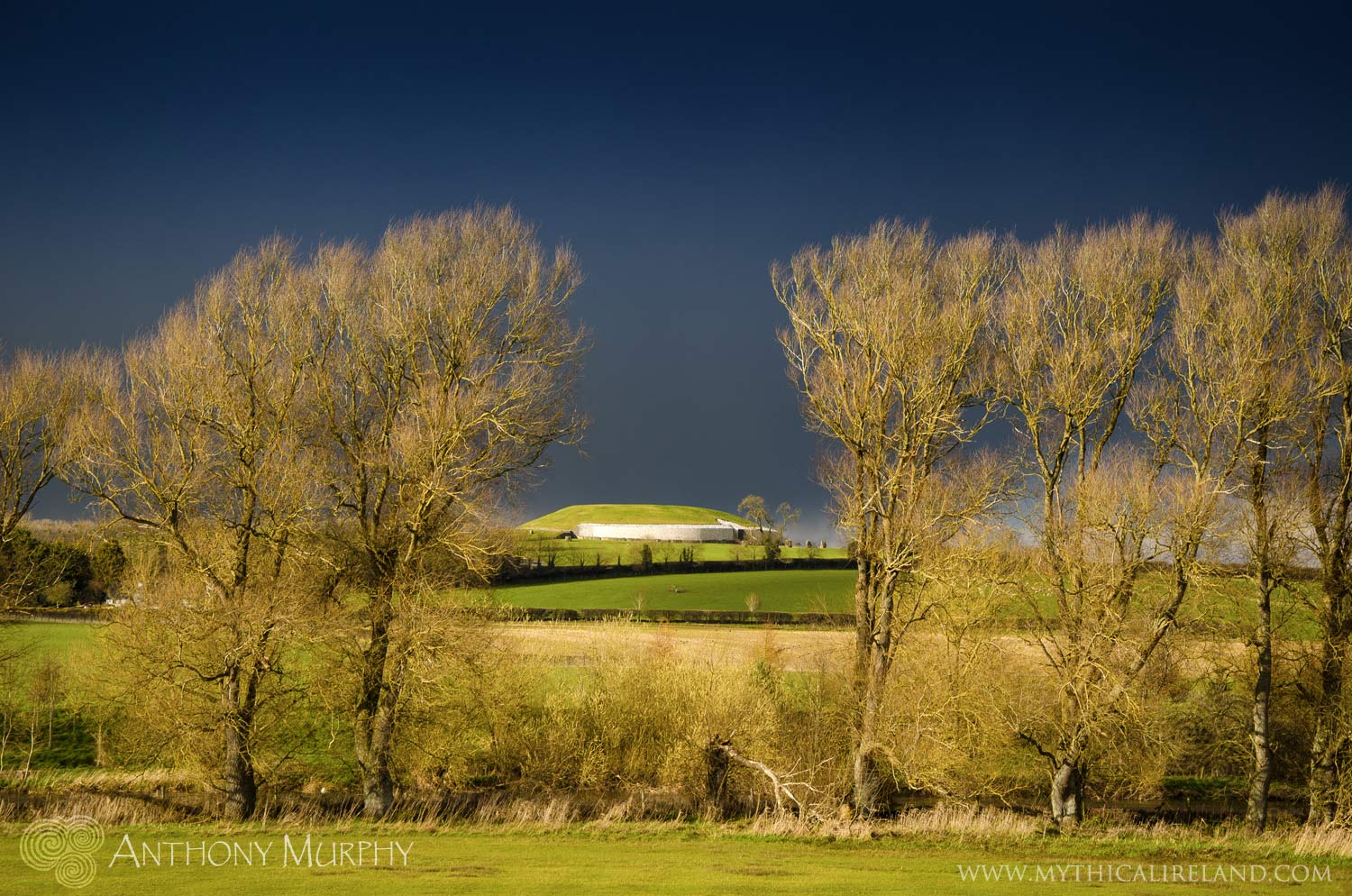 A View of Newgrange