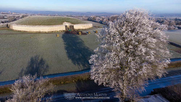 Newgrange and beech tree with hoar frost