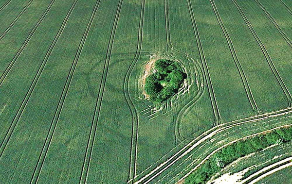 Ringfort cropmarks Ireland