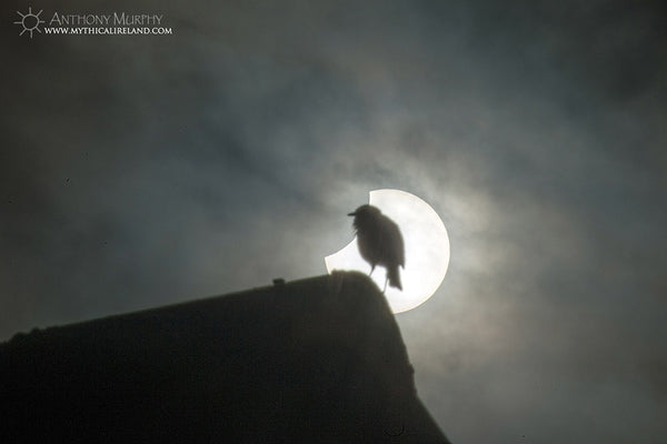 Starling and partial solar eclipse