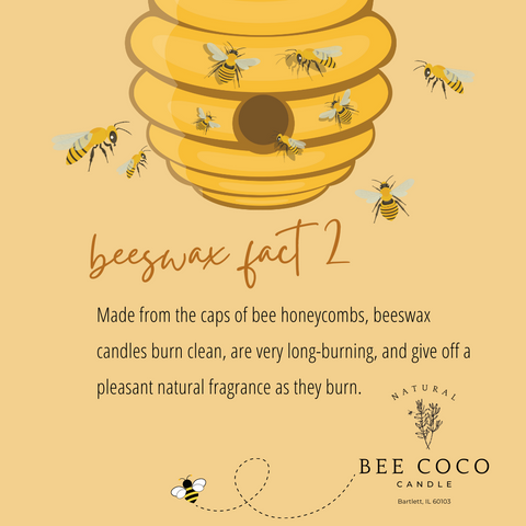  Honeybee Candle Gift Set / 100% Beeswax/Clean Burning