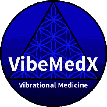 VidMedX Logo