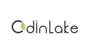 Get More Coupon Codes And Deals At Odinlake