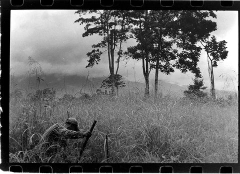 a field worker digs as fog rolls in of the mountain. 