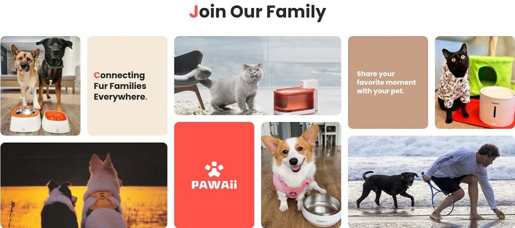 join pawaii family