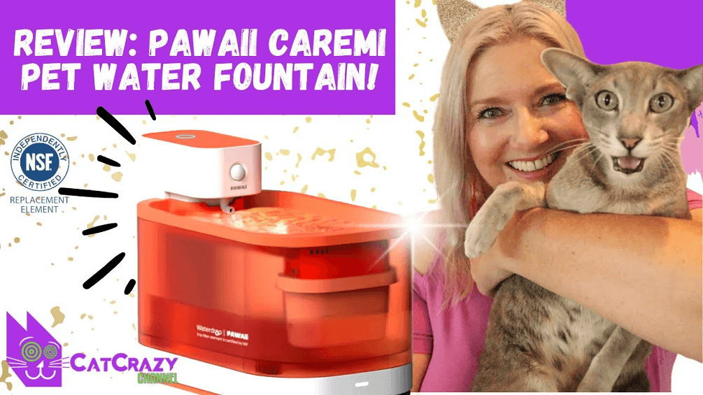 pawaii battery operated pet water fountain