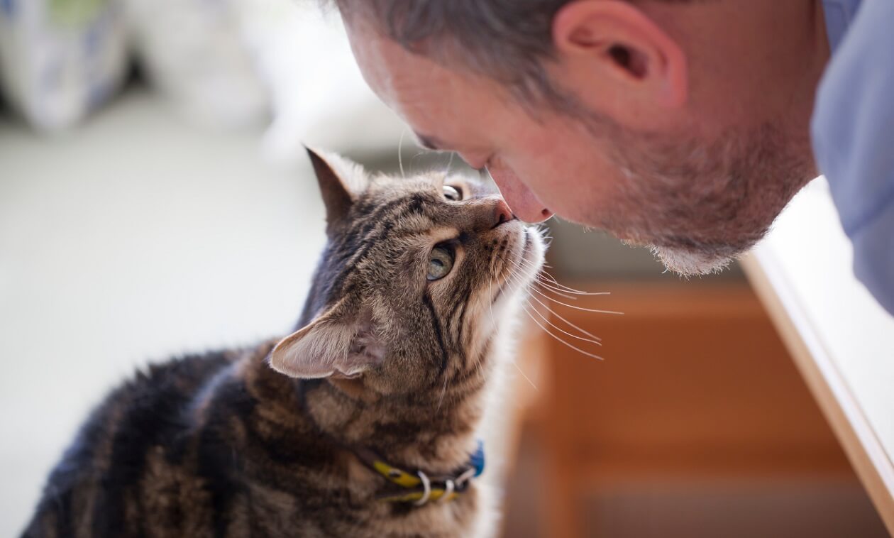 an old man touching the nose of a cat