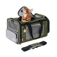 travel pet carrier