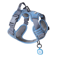 pawaii dog harness with id tag