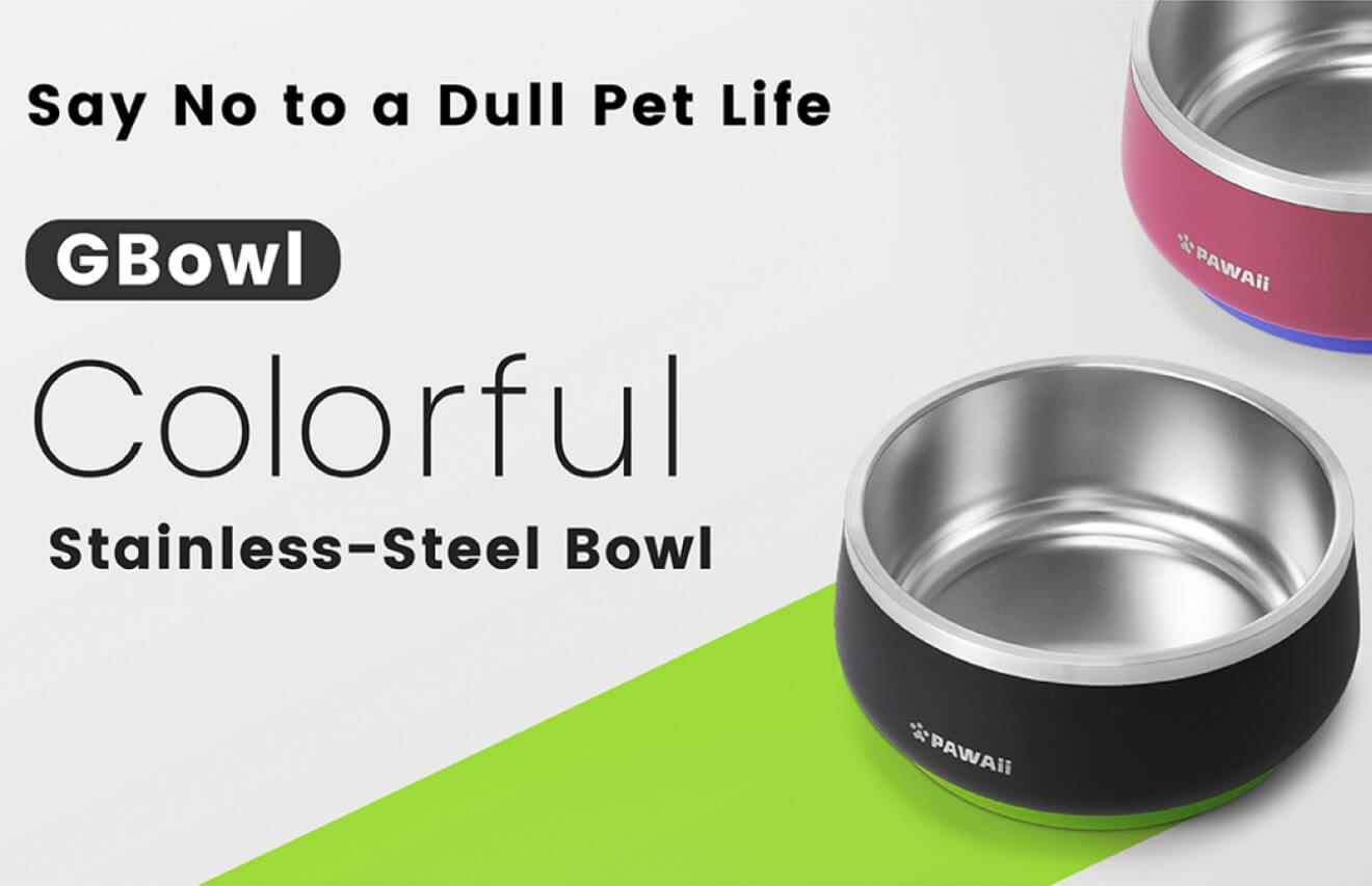  pawaii stainless-steel dog bowl