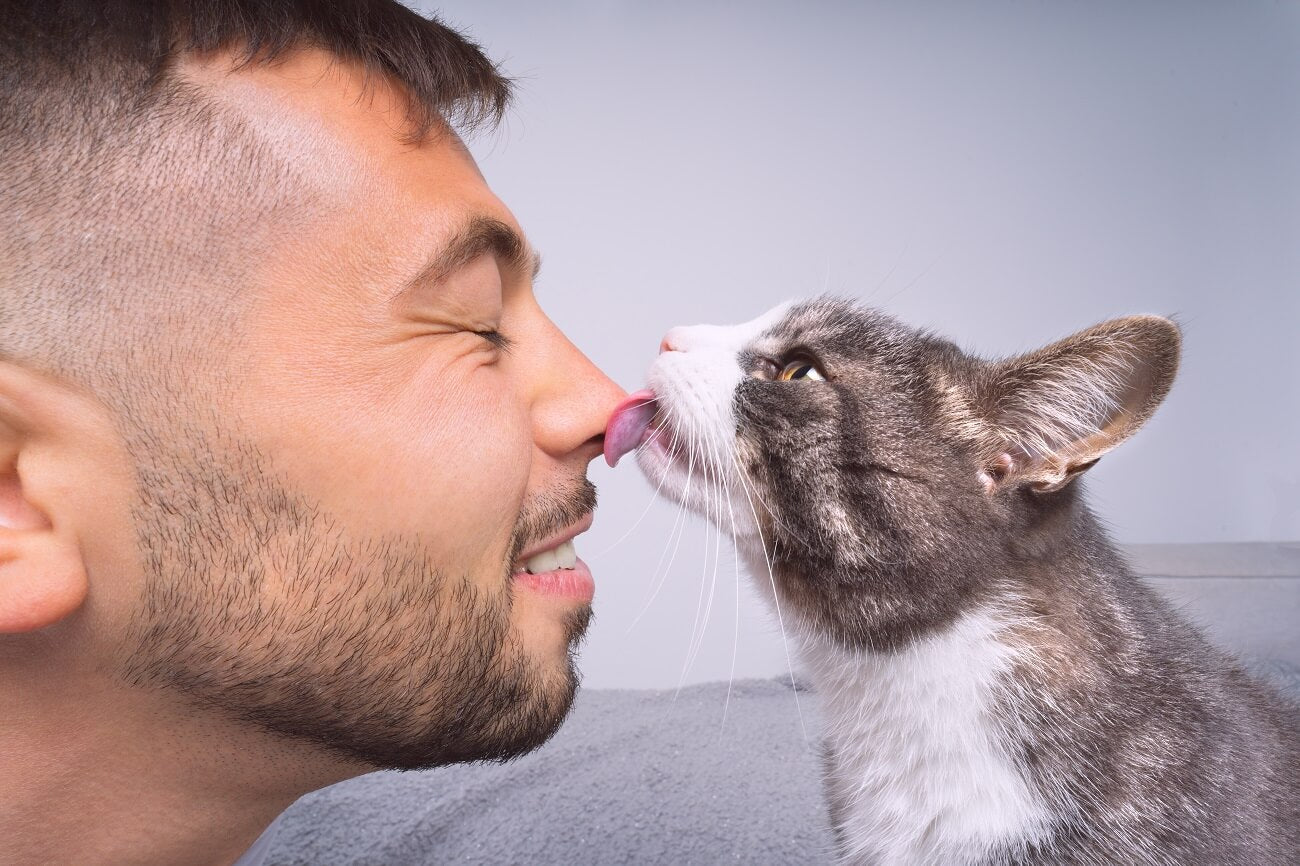 a cat is licking a man’s nose