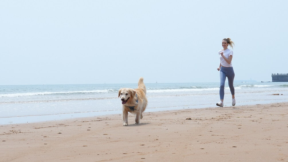 a dog and a woman are running on the beach