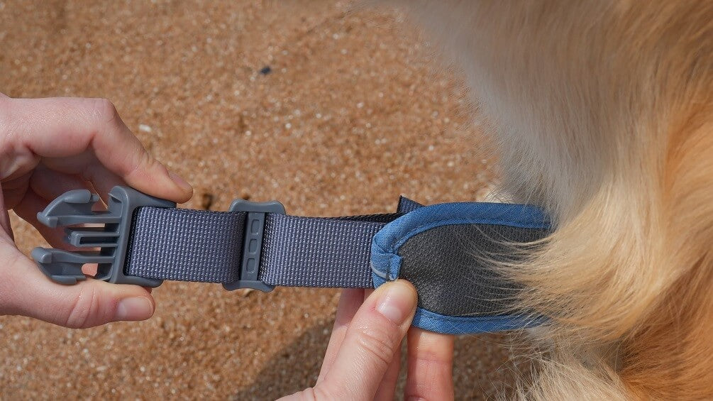 PAWAii Dog Harness