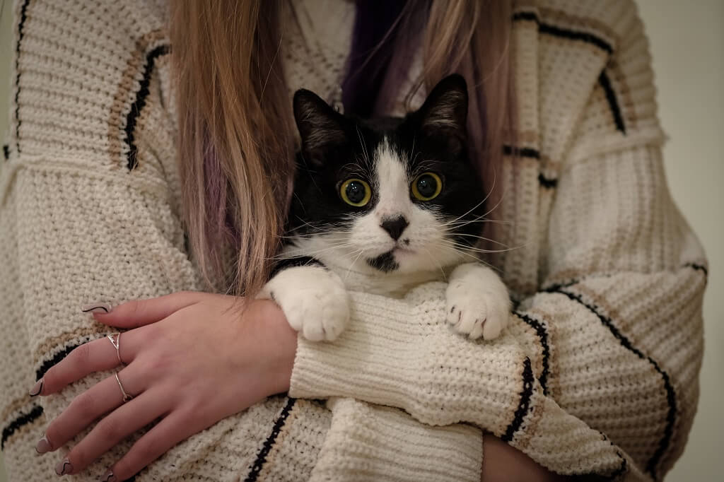 a human being holding a cat