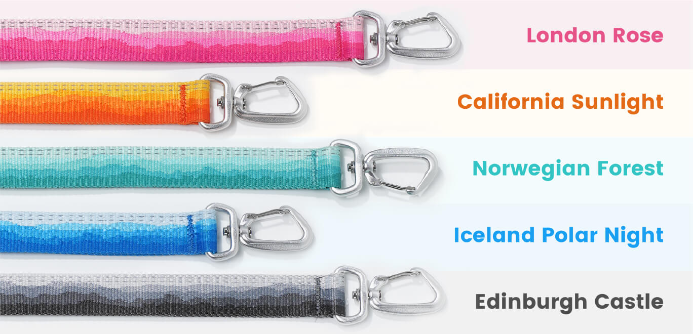 Sunlite dog leash clearance