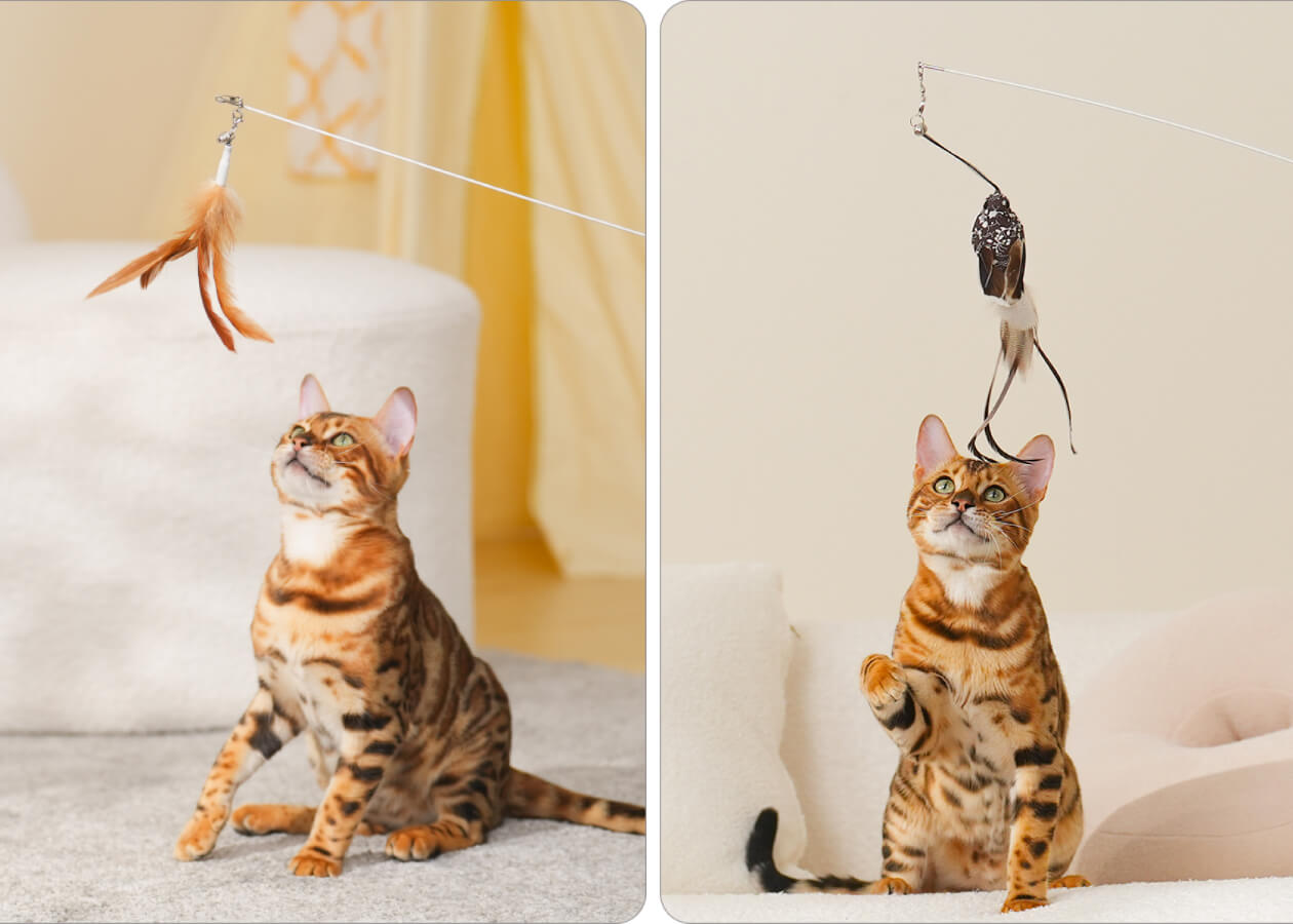 Laser Cat Wand Attachments