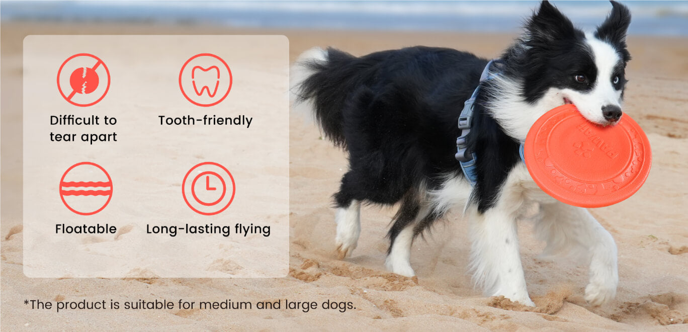 Interactive Flying Disc for Dogs