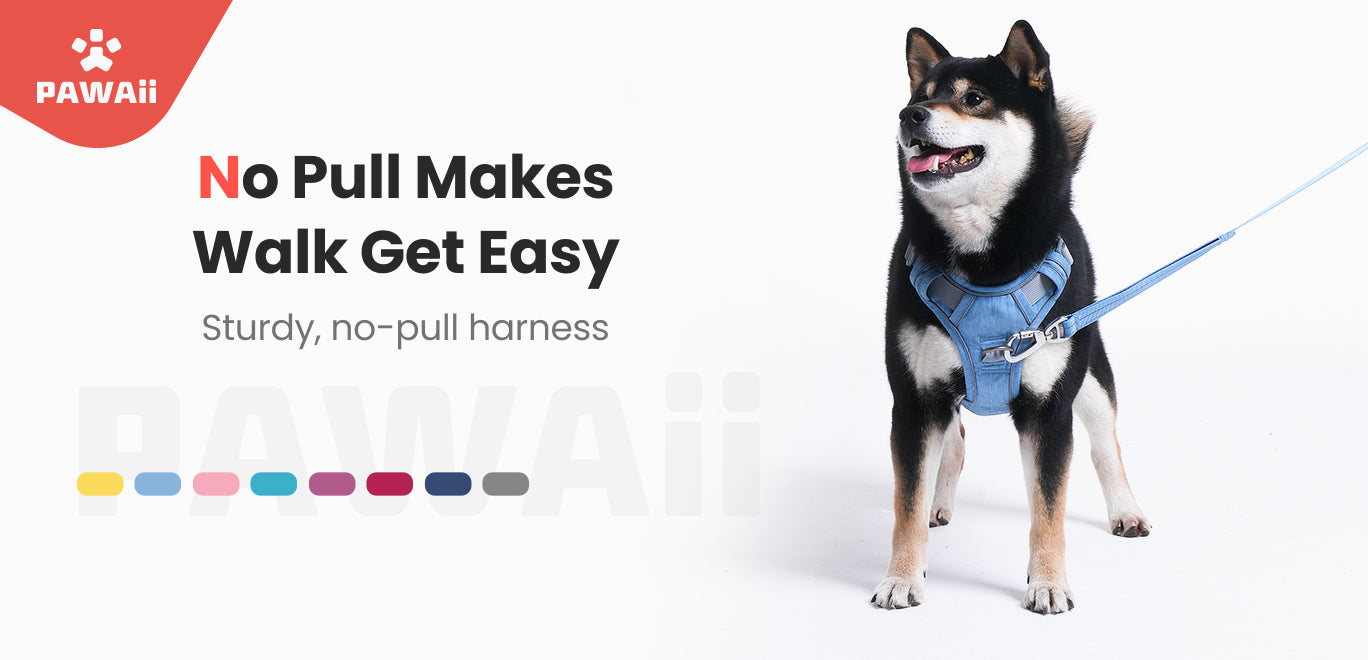 No Pull Dog Harness with Pet ID Tag