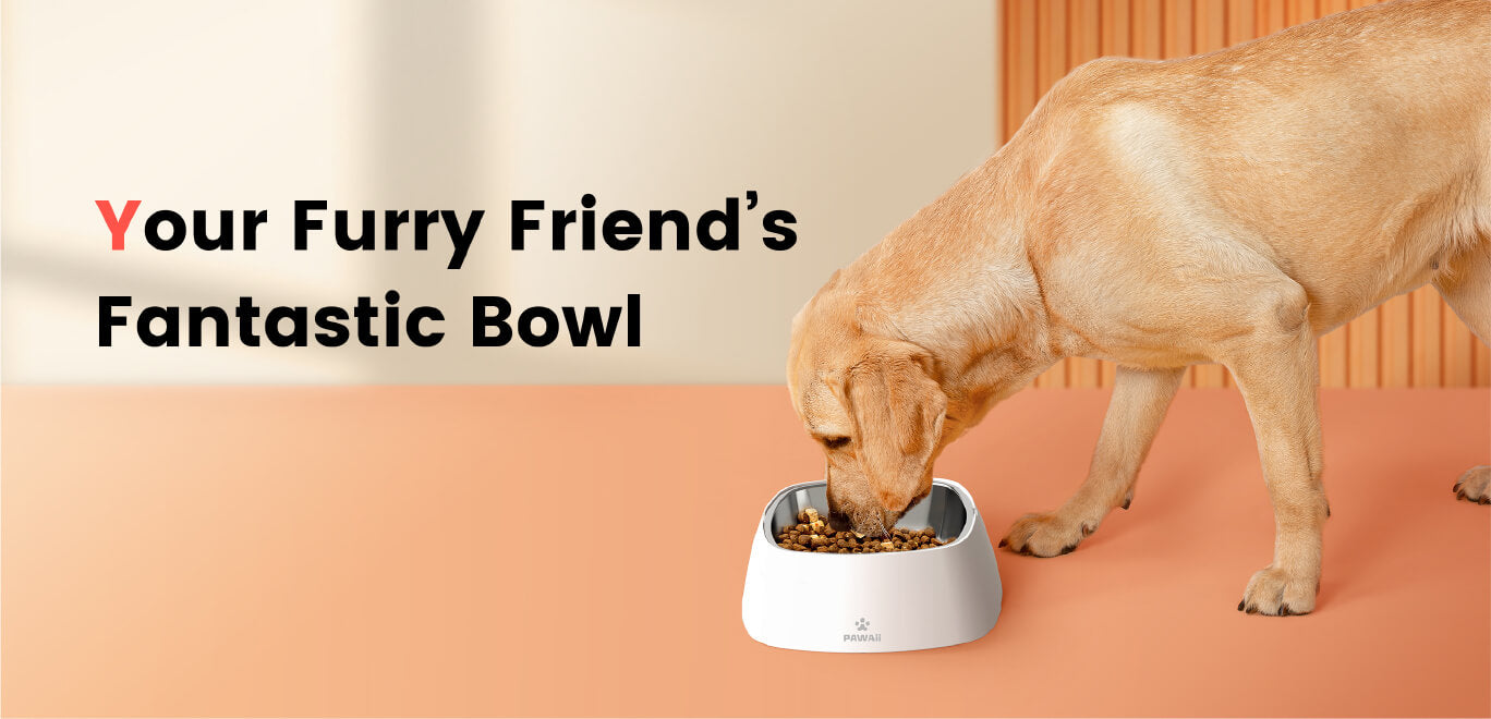 Stainless-steel Dog Bowl