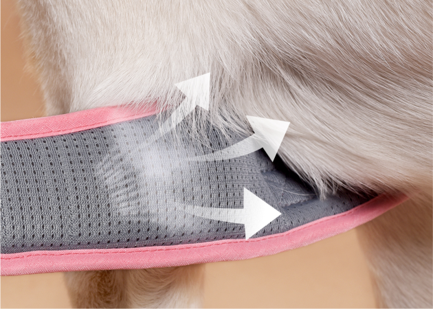 No Pull Dog Harness with Pet ID Tag