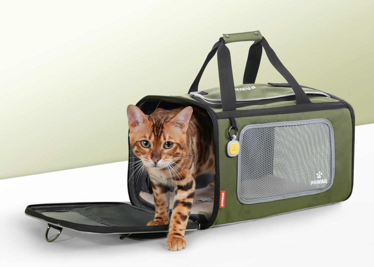 Pawaii Pet Carrier, Tsa Airline Approved Cat Carrier, Soft Sided  Collapsible Pet Travel Carrier, Foldable, Protable