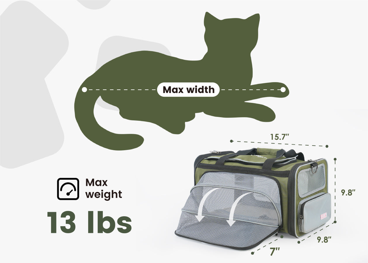 https://cdn.shopify.com/s/files/1/0603/7595/7676/files/pw-product-travel-pet-carrier-11-25-img3.jpg?v=1669356557