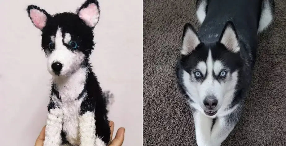 A Custom Stuffed Dog Is a Wonderful Way to Remember Pet- Husky and his stuffed dog